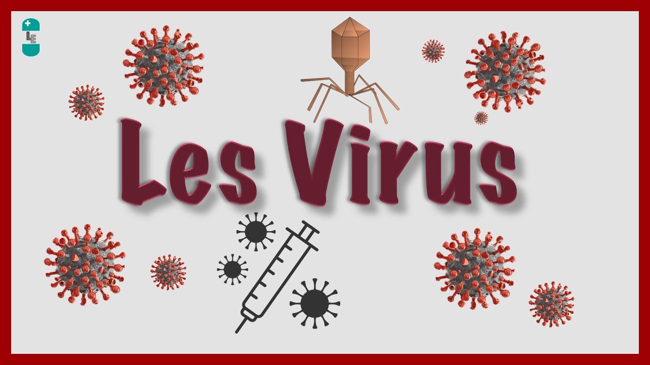 Qu'est ce qu'un Virus ? Bases virologiques