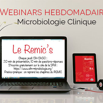 REMIC_WEBINARS_2