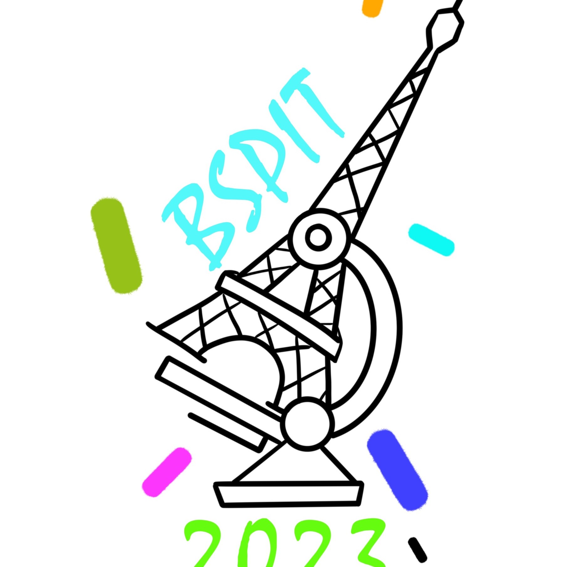 bspit logo fond blanc bspit logo fond blanc