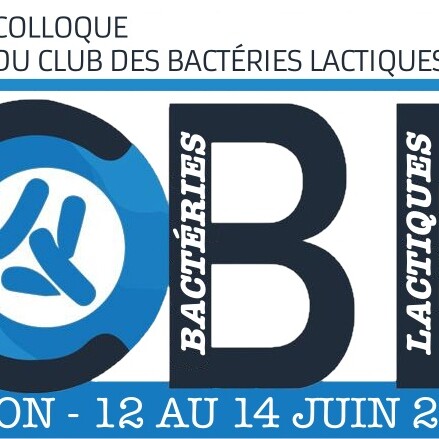 Logo CBL Dijon Logo CBL Dijon